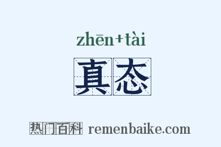 真态是什么意思的图片